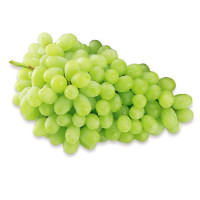 Green Grape(sada angur)